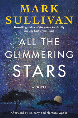 A starry nighttime sky is shown on the book cover.